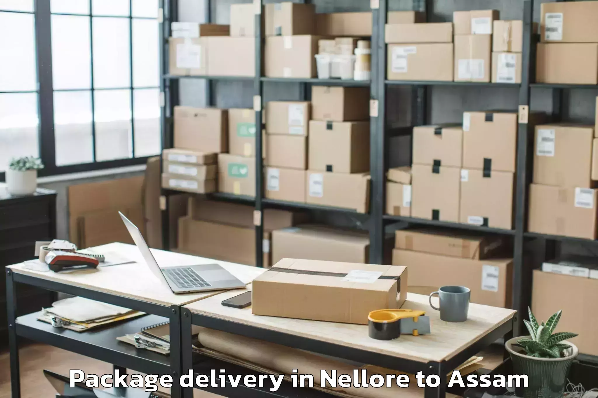 Professional Nellore to Sonapur Package Delivery